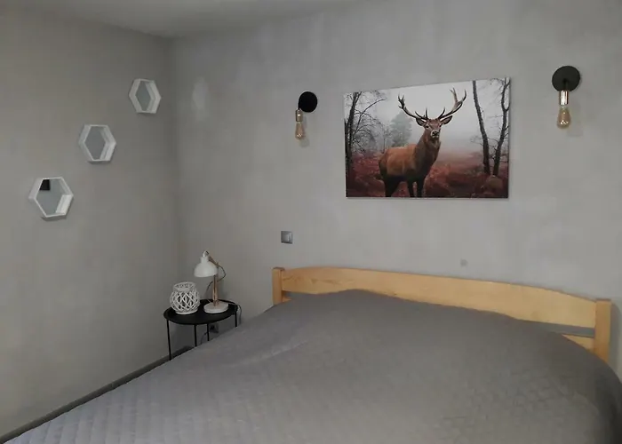 Homestay Noc W Gorach Karpacz